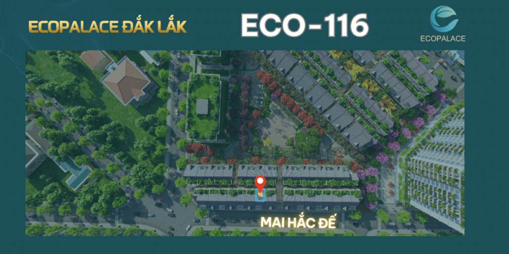Mặt bằng chi tiết ECO-116