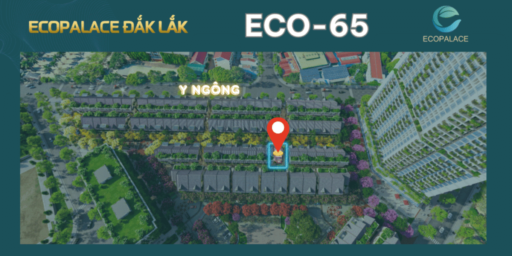 Mặt bằng chi tiết ECO-65 shophouse thổ cẩm